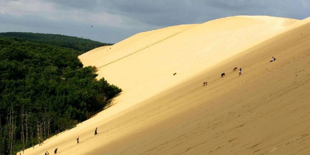 L Europe * Arcachon